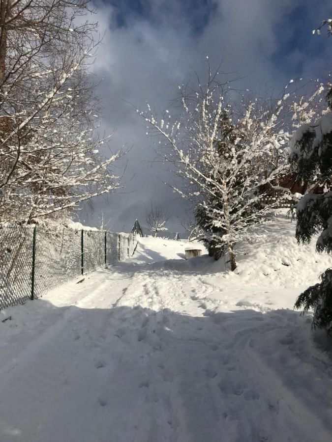 Лоджи Domek w Beskidach Ropica Górna-18